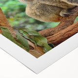 Koala design wall art on rolled canvas, showcasing vibrant colors and intricate details of the animal in a natural setting. Perfect for nature-themed decor.
