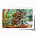 Koala wall art design featuring a vibrant illustration of a koala in a eucalyptus tree, printed on high-quality rolled canvas, perfect for wildlife enthusiasts and home decor.