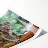 Koala wall art print showcasing a vibrant illustration of a koala resting on a eucalyptus branch, designed for nature lovers and animal enthusiasts, rolled for easy framing.