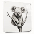 Koala wall art design printed on acrylic glass, showcasing a side view with vibrant colors and intricate details, perfect for wildlife enthusiasts and home decor.