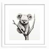 Koala-themed wall art framed with a white mat, showcasing a detailed illustration of a koala in its natural habitat, perfect for animal lovers and home decor enthusiasts.