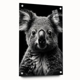 Acrylic glass wall art display featuring a side view of a koala design from the "Animals: A Wild Life" collection, mounted with pins, showcasing vibrant colors and intricate details.