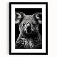 Koala wall art design featuring a vibrant illustration of a koala in its natural habitat, framed in sleek black with a white mat, perfect for wildlife enthusiasts.