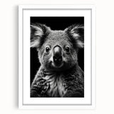 Framed wall art collection showcasing a koala design in a white mat, perfect for adding a touch of wildlife charm to home decor. Ideal for nature lovers.