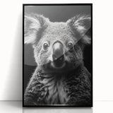 Framed wall art featuring a detailed koala design in a black frame, showcasing vibrant colors and intricate textures, perfect for wildlife lovers and home decor.