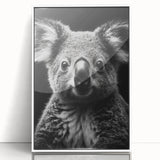 Framed acrylic wall art featuring a detailed koala design with vibrant colors, set against a white background, perfect for animal lovers and modern decor.