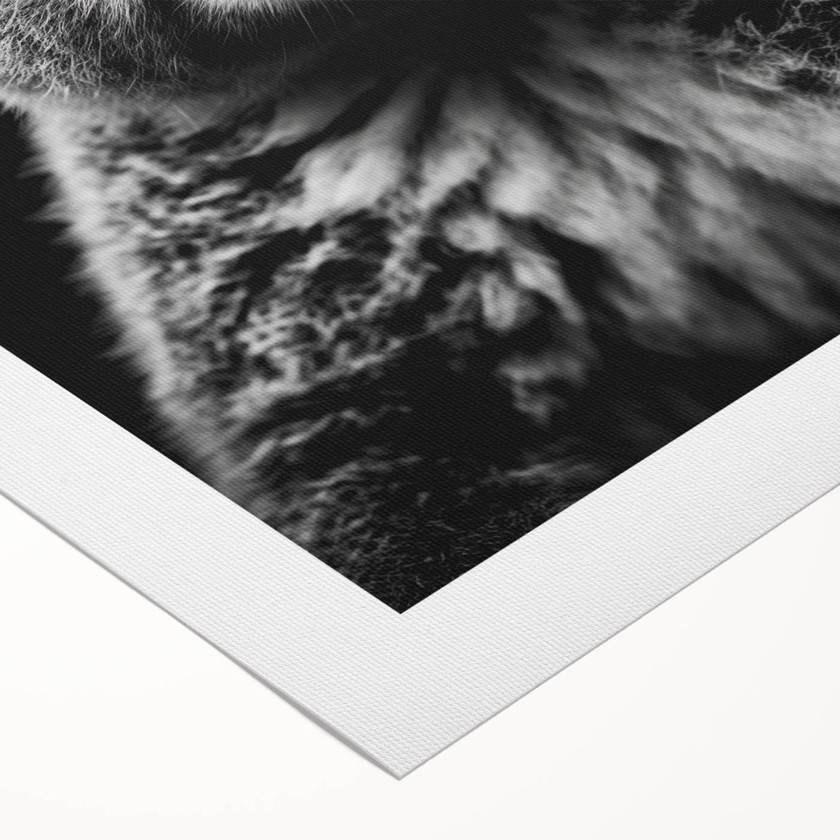 Rolled canvas wall art showcasing a vibrant koala design against a soft pastel background, perfect for adding a touch of wildlife charm to any room decor.