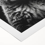 Rolled canvas wall art showcasing a vibrant koala design against a soft pastel background, perfect for adding a touch of wildlife charm to any room decor.
