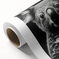 Koala-themed rolled canvas wall art design showcasing vibrant colors and intricate details, perfect for wildlife lovers and home decor enthusiasts.