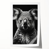 Koala-themed wall art print showcasing a vibrant, colorful design featuring a playful koala in a natural setting, perfect for animal lovers' home decor.