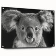Side view of a koala-themed wall art collection featuring vibrant acrylic glass prints, displayed with decorative pins against a neutral backdrop, perfect for wildlife enthusiasts.