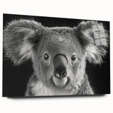 Acrylic glass wall art collection showcasing a serene koala design in a side view, featuring vibrant colors and intricate details, perfect for animal lovers' decor.