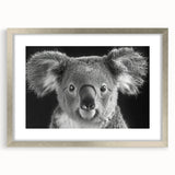 Framed wall art featuring a serene koala design set against a soft white mat, enclosed in a sleek silver frame, perfect for animal lovers and modern decor enthusiasts.