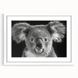Koala wall art design in a white frame with a mat, showcasing vibrant colors and detailed illustration, perfect for animal lovers or nursery decor.