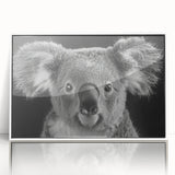 Framed acrylic wall art featuring a serene koala design, showcasing soft gray and white hues, ideal for nature lovers and modern decor enthusiasts.