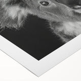 Koala-themed rolled canvas wall art featuring vibrant colors and a playful design, perfect for animal lovers and nature enthusiasts, ideal for home decor.