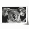 Koala wall art print showcasing a vibrant, stylized depiction of a koala in its natural habitat, perfect for wildlife enthusiasts and home decor.