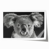 Koala wall art print showcasing a vibrant, stylized depiction of a koala in its natural habitat, perfect for wildlife enthusiasts and home decor.