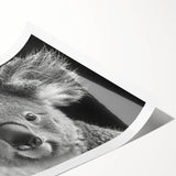 Koala wall art print showcasing a vibrant, illustrated design featuring a cute koala sitting on a eucalyptus tree branch, perfect for animal lovers and nature-themed decor.