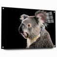 Side view of a koala-themed wall art collection displayed on an acrylic glass panel, featuring vibrant colors and intricate details, ideal for animal lovers and home decor enthusiasts.