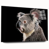 Acrylic glass wall art featuring a vibrant koala design in a wild-life theme, showcasing intricate details and bright colors, perfect for animal lovers' decor.