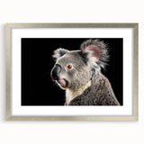 Koala-themed wall art collection framed in silver with a matte finish, showcasing a detailed design of a koala in a natural setting, perfect for wildlife enthusiasts.