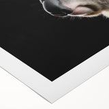 Koala wall art design printed on rolled canvas, showcasing vibrant colors and intricate details of the Australian wildlife, perfect for enhancing nature-themed decor.
