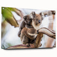 Side view of a koala-themed wall art collection displayed in an acrylic glass frame, featuring vibrant colors and intricate design elements, ideal for animal lovers.
