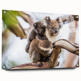 Side view of a koala-themed wall art collection displayed in an acrylic glass frame, featuring vibrant colors and intricate design elements, ideal for animal lovers.