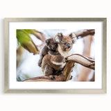 Koala wall art design framed in silver with a mat, showcasing a close-up view of a serene koala against a natural backdrop, perfect for animal lovers' decor.