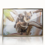 Framed wall art featuring a koala design with vibrant colors, set against a gold-acrylic background, perfect for wildlife-themed decor and nature lovers.