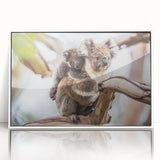 Framed wall art featuring a koala design, showcasing vibrant colors and intricate details, set against a white background, perfect for wildlife enthusiasts.