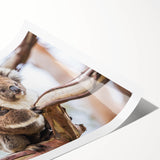 Koala wall art design featuring a vibrant, colorful illustration of a koala in its natural habitat, rolled for easy framing and display, perfect for animal lovers.