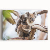 Stretched canvas wall art showcasing a vibrant and detailed koala design, featuring a lush green background, ideal for animal lovers and modern decor.