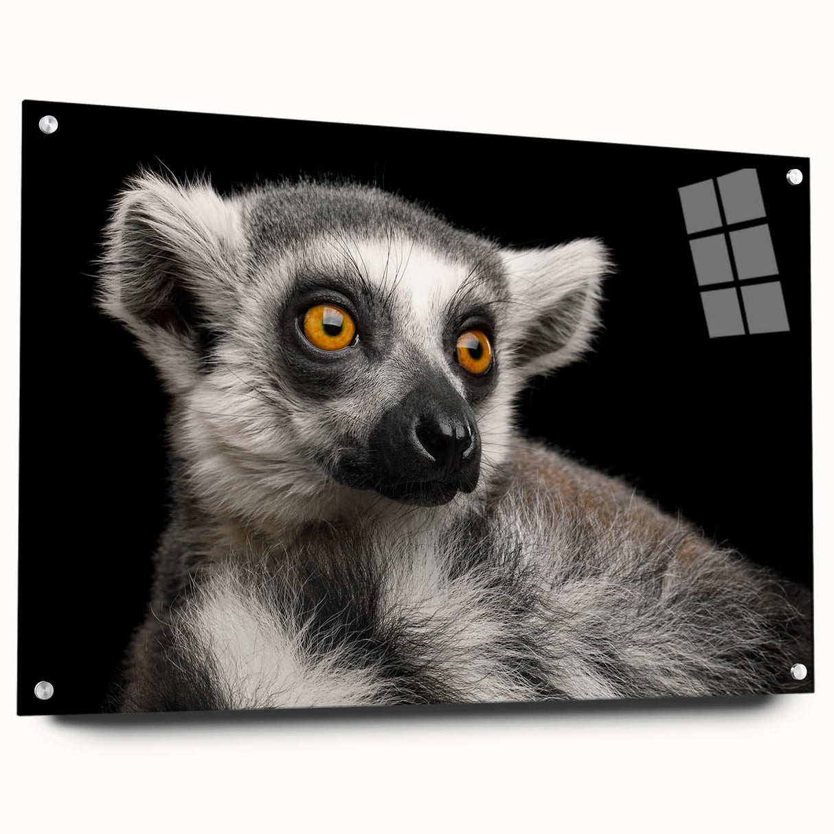 Acrylic glass wall art showcasing a vibrant lemur design from the 'Animals A Wild Life' collection, featuring intricate details and a sleek side view with mounting pins. Perfect for animal lovers and modern decor enthusiasts.