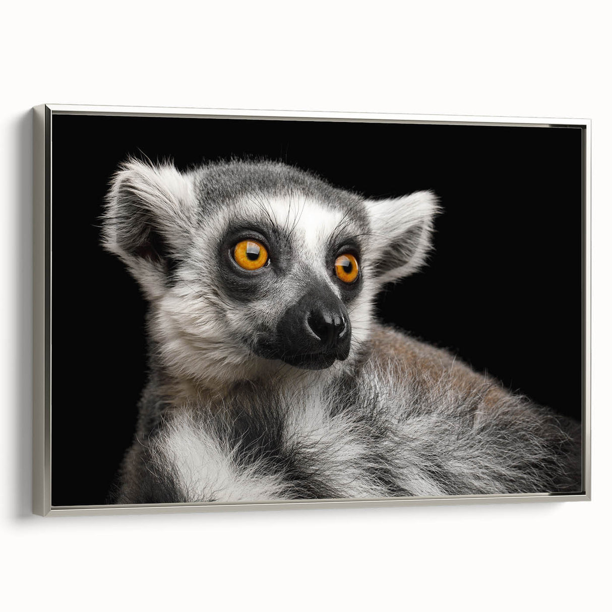 Framed canvas wall art showcasing a vibrant lemur design in a silver frame, ideal for nature-themed decor, adding a playful touch to any room.