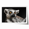 Lemur-themed wall art print showcasing vibrant colors and intricate details, rolled and packaged for easy display in home or office decor. Perfect for animal lovers.