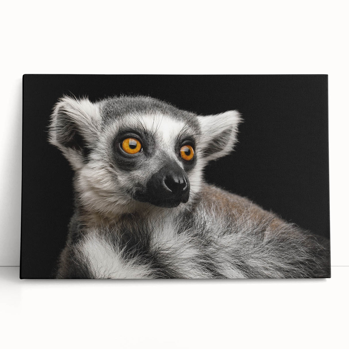 Stretched canvas artwork depicting a vibrant lemur design in a lush jungle setting, showcasing vivid colors and intricate details, perfect for animal lovers and home decor enthusiasts.