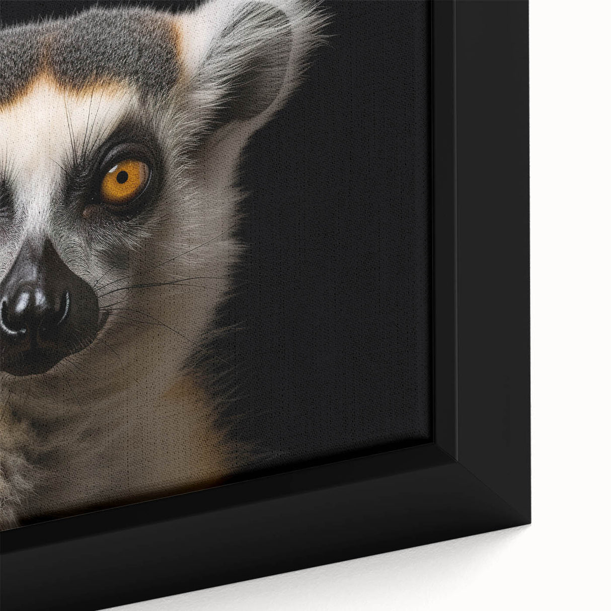 Close-up of a vibrant lemur-themed wall art canvas print showcasing intricate details and colors, framed for a stylish home decor accent. Perfect for animal lovers.
