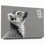 Lemur-themed wall art collection displayed in acrylic glass, showcasing vibrant colors and intricate design details, ideal for wildlife enthusiasts and modern decor.