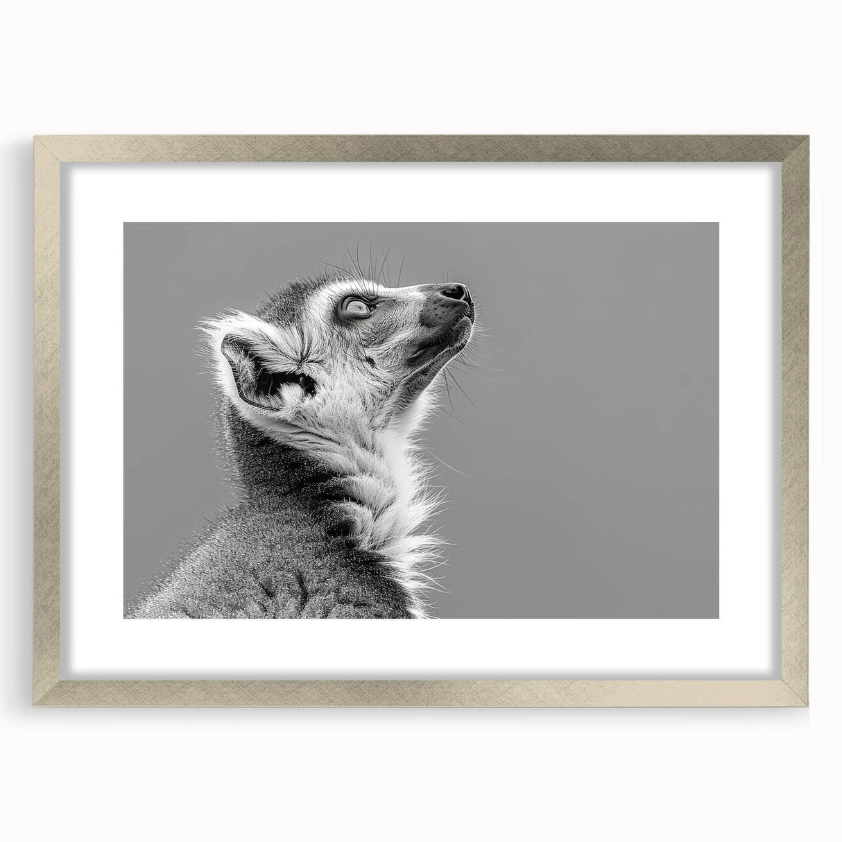 Framed wall art featuring a vibrant lemur design, showcasing intricate details and colorful patterns, set in a sleek silver frame with a white mat, ideal for wildlife enthusiasts.
