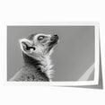 Lemur-themed wall art print showcasing vibrant colors and intricate designs, rolled for easy transport and display in home decor, perfect for animal lovers.