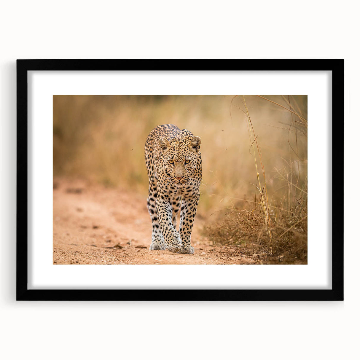 Framed wall art featuring a striking leopard design in black and gold, showcasing intricate details and textures, ideal for wildlife enthusiasts and modern decor.