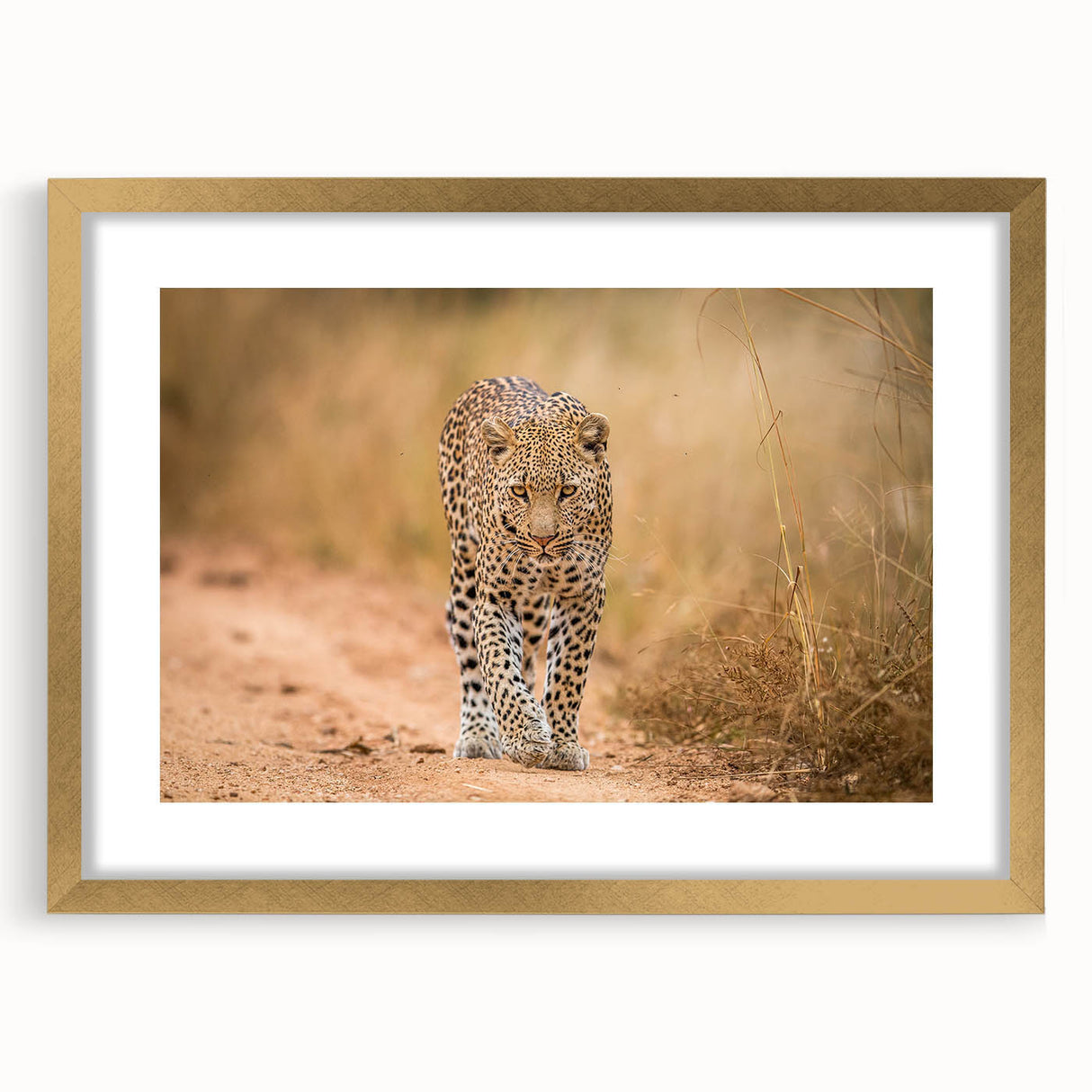 Elegant gold-framed wall art showcasing a striking leopard design, featuring intricate details and vibrant colors, perfect for wildlife enthusiasts and home decor.