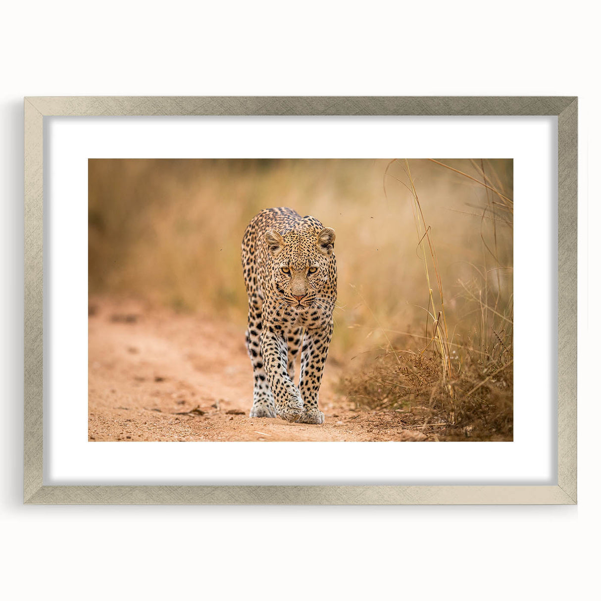 Framed wall art featuring a stunning leopard design in vibrant colors, set in a sleek silver frame with a mat, ideal for wildlife enthusiasts and home decor.
