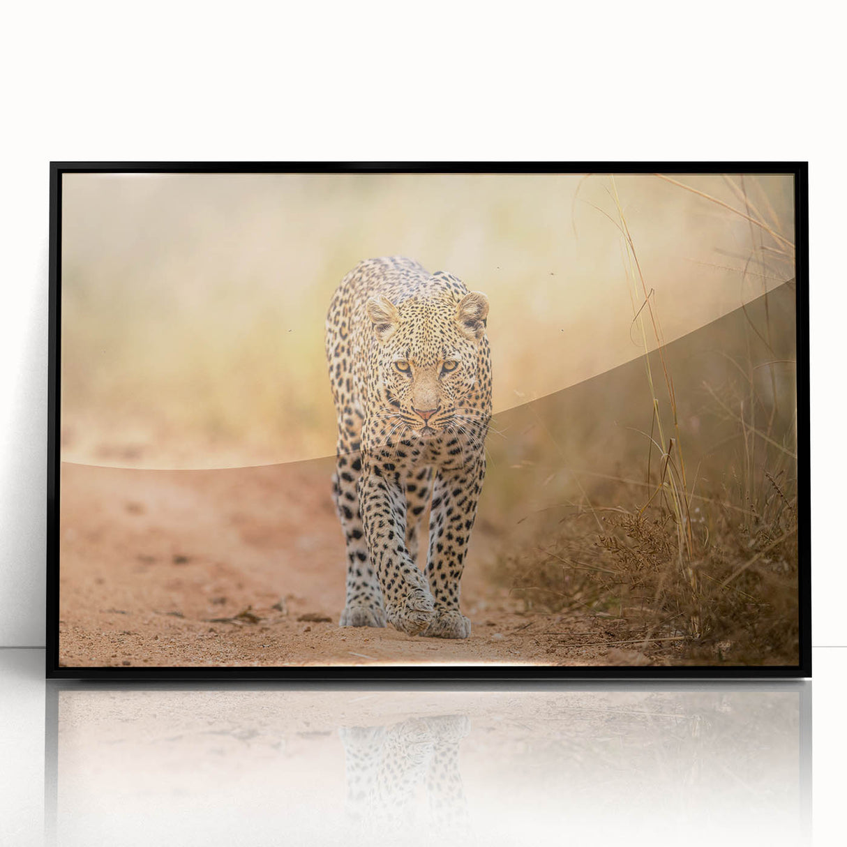 Framed acrylic wall art featuring a striking leopard design in bold colors, ideal for wildlife enthusiasts, set against a sleek black frame for a modern touch.