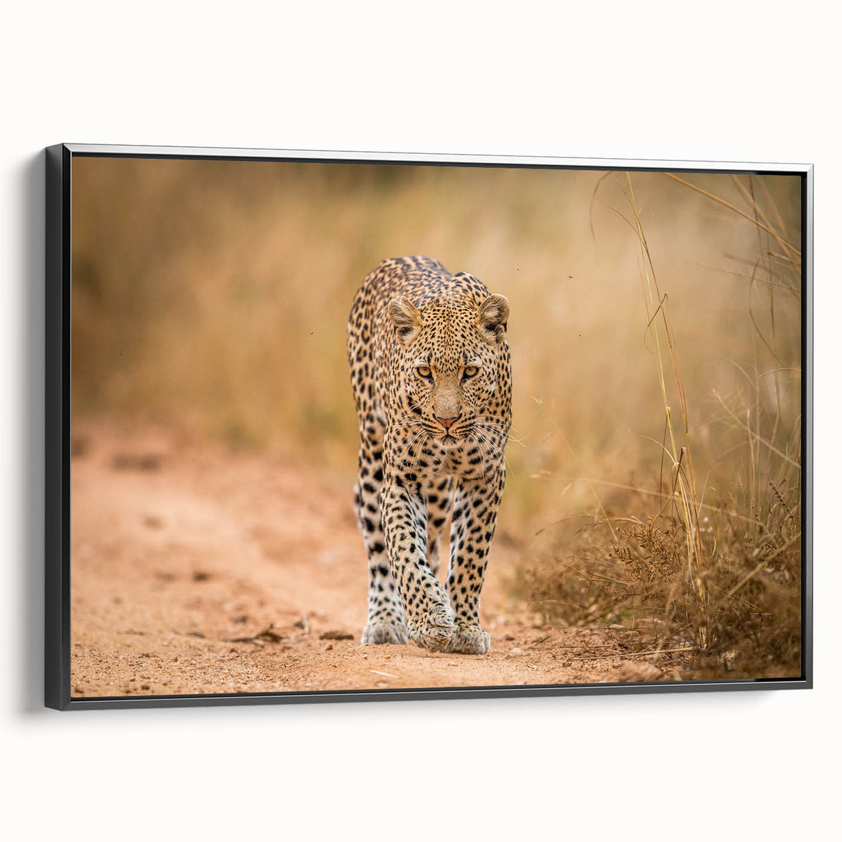 Framed canvas wall art featuring a striking leopard design in vibrant colors, set against a sleek black background, ideal for wildlife enthusiasts and home decor.