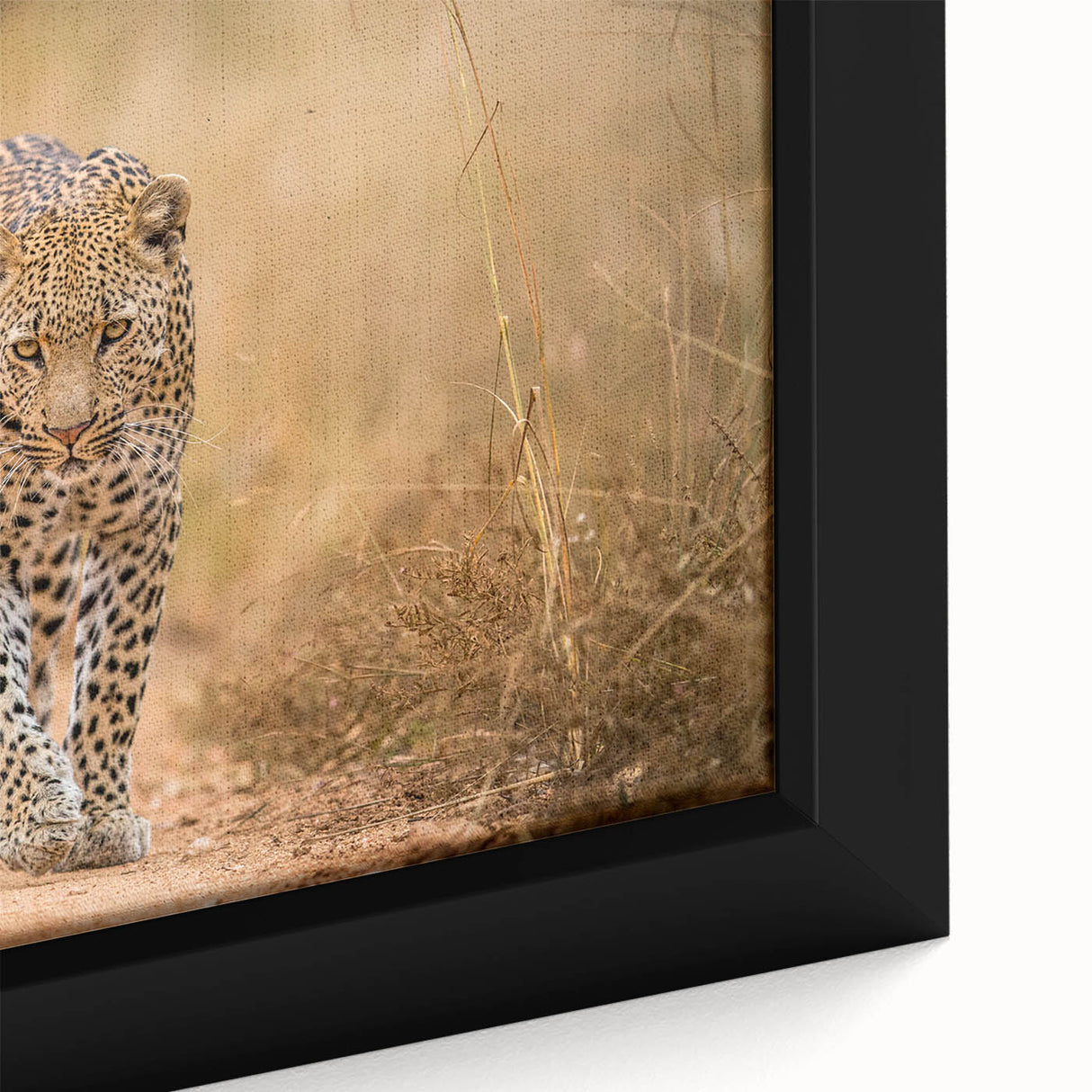 Close-up of a framed canvas wall art design showcasing a leopard in a vibrant, natural setting, highlighting intricate details and rich colors, perfect for wildlife enthusiasts.