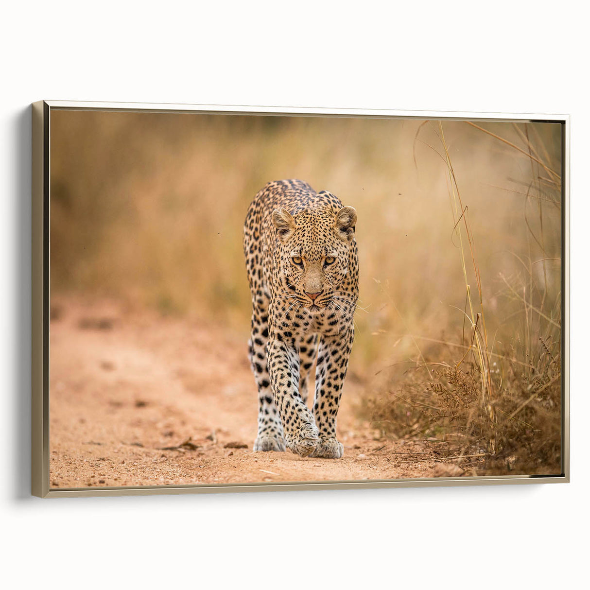 Framed wall art featuring a striking leopard design in vibrant gold tones, ideal for enhancing modern home decor with a touch of wildlife elegance.