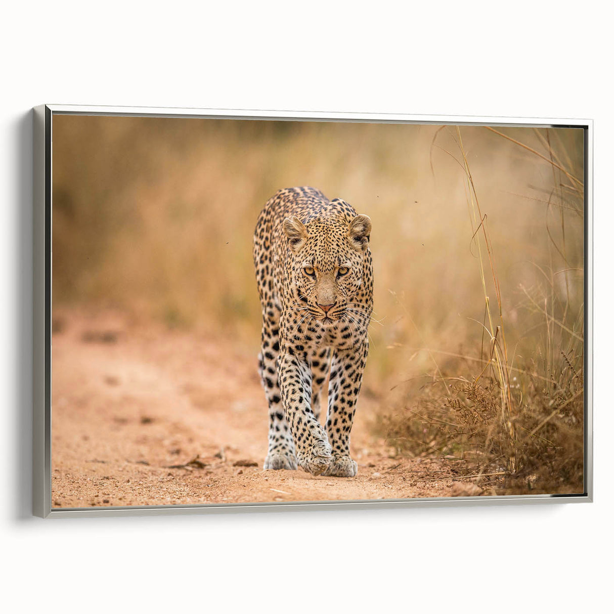 Framed canvas wall art depicting a striking leopard design in a wild landscape, featuring vibrant colors and intricate details, perfect for animal lovers and home decor enthusiasts.